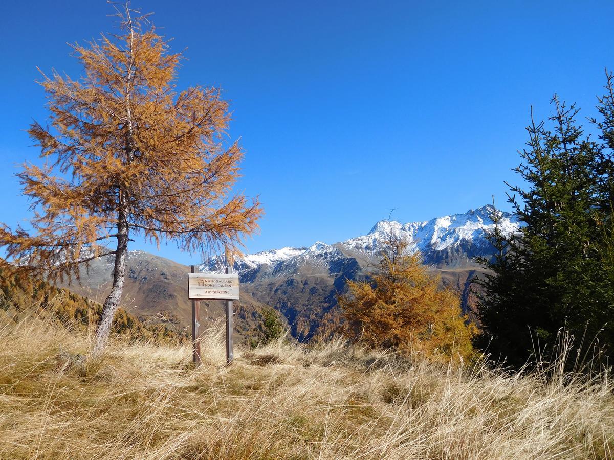 Kals-am Großglockner Haus Panoramablick 아파트 외부 사진