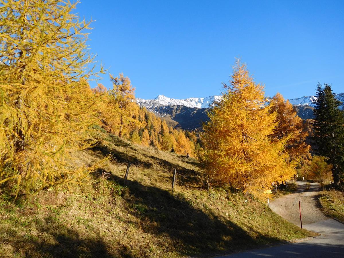 Kals-am Großglockner Haus Panoramablick 아파트 외부 사진